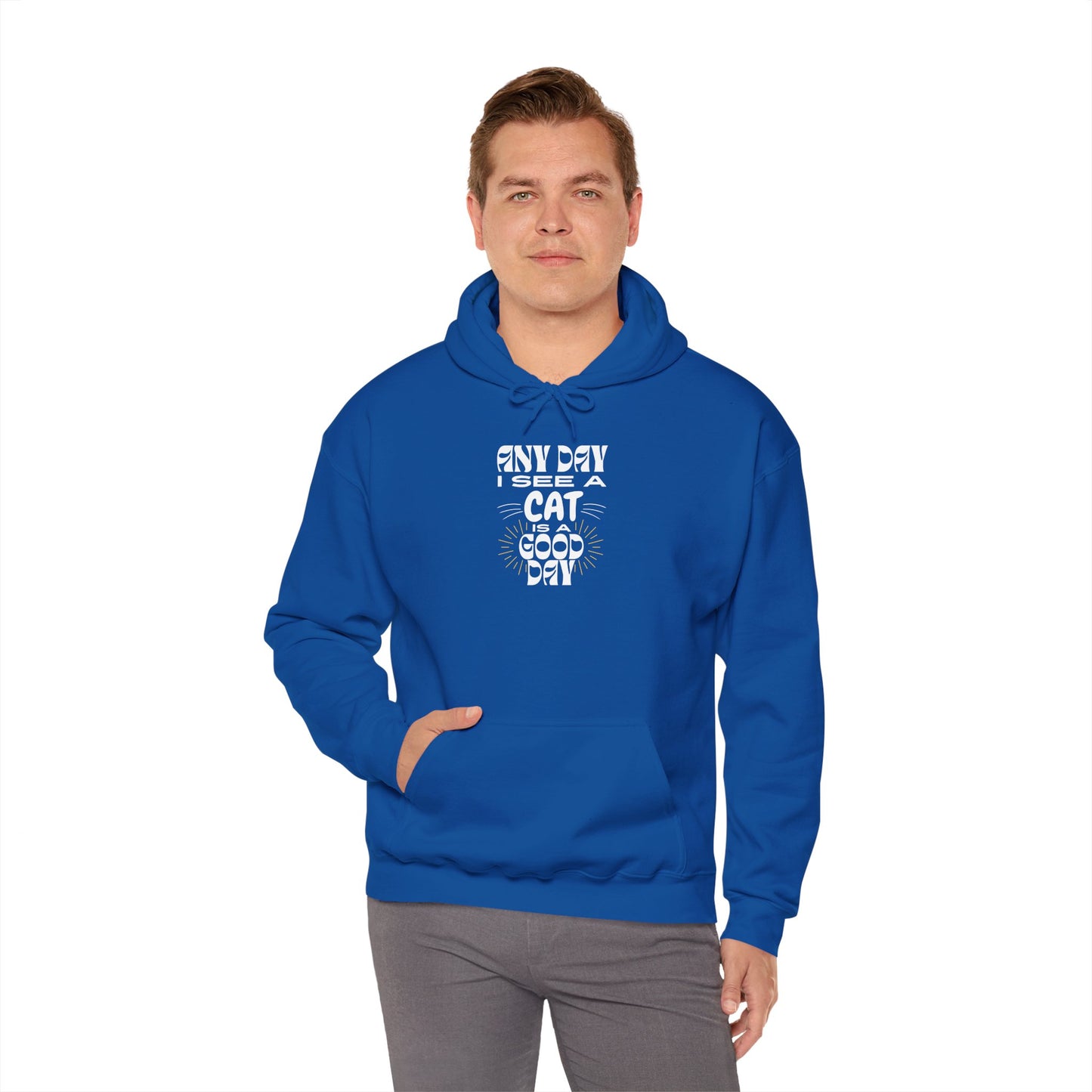 Cat Lover Hoodie - Any Day I See A Cat Is A Good Day