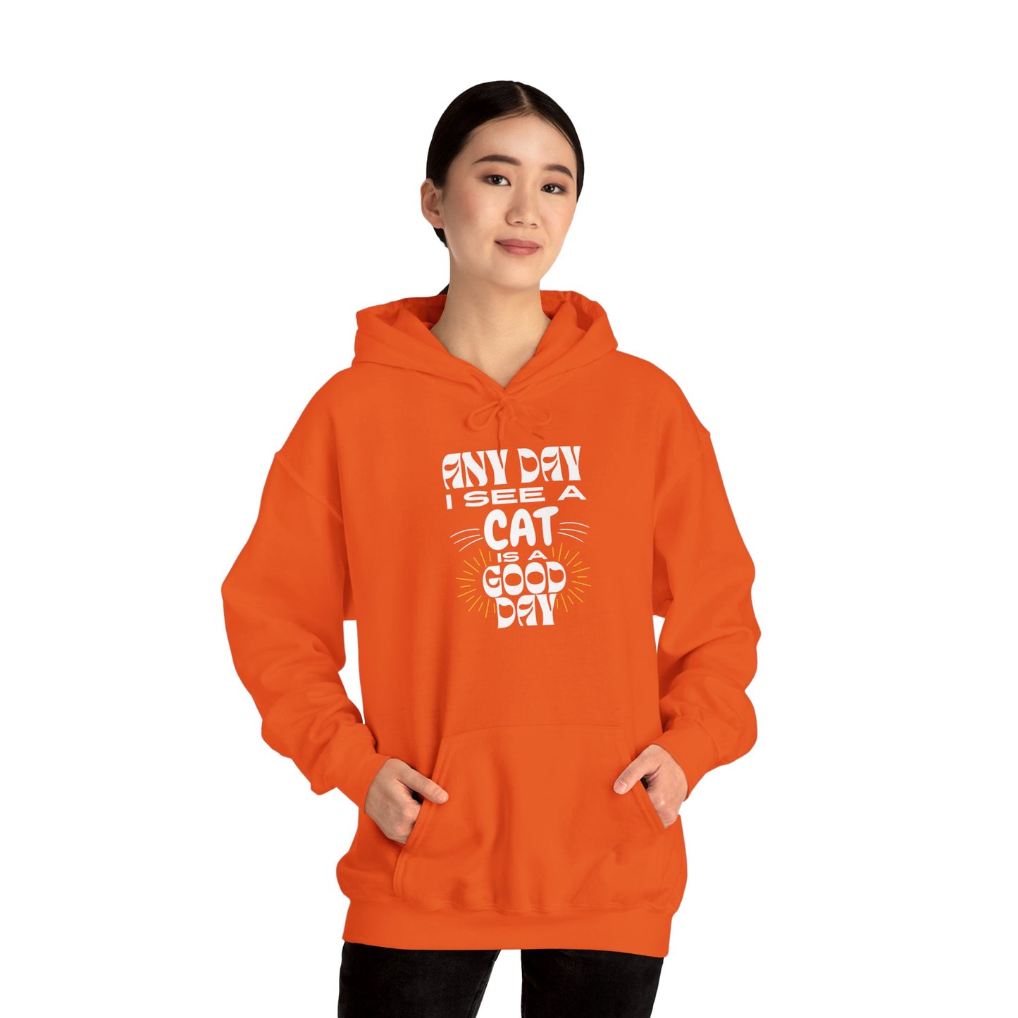 Cat Lover Hoodie - Any Day I See A Cat Is A Good Day